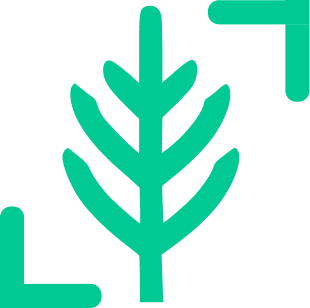 Team Weeck-Haupricht